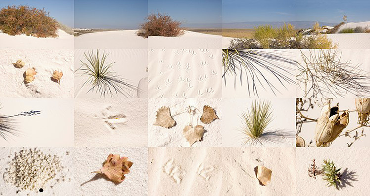 white sands_new mexico_21 in x 40 in_2007